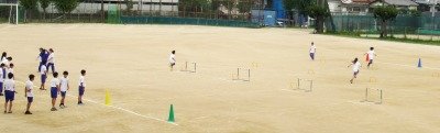 IMG_3135.jpg