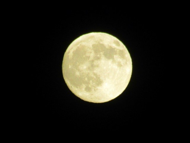 IMG_3314.jpg