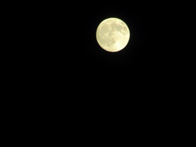 IMG_3315.jpg