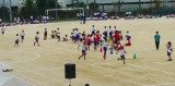 IMG_3542.jpg
