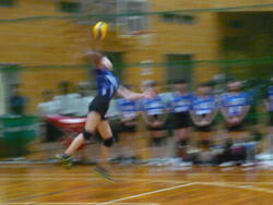 P1090321.JPG