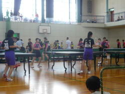 P1090477.JPG