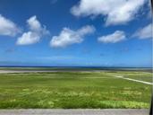 IMG_1150.jpeg