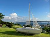 IMG_1284.jpeg