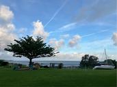 IMG_1424.jpeg