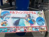 IMG_1537.jpeg