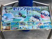 IMG_1541.jpeg
