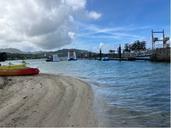 IMG_1549.jpeg