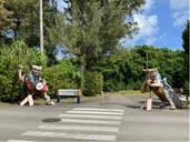 IMG_1550.jpeg