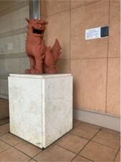 IMG_1626.jpeg