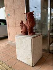 IMG_1627.jpeg