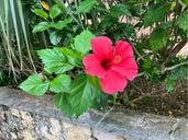 IMG_1653.jpeg