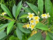 IMG_1654.jpeg