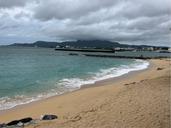 IMG_1655.jpeg