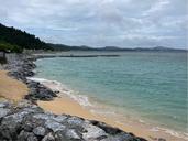 IMG_1656.jpeg