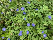 IMG_1657.jpeg