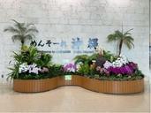 IMG_1738.jpeg