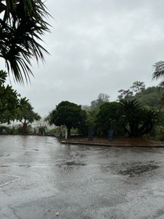 IMG_0319（小）.jpeg
