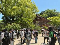 IMG_0482.jpeg
