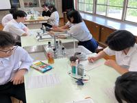IMG_1176.jpeg