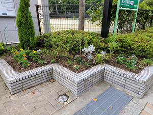4524cb58-345a-42c2-8bf4-94305b1db953~1.jpg