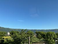 IMG_0348.jpeg