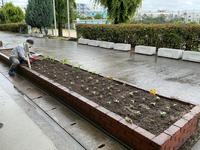 IMG_0606.jpeg