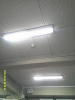 DSCF0377.JPG