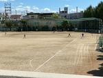 IMG_0055.jpeg