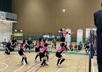 IMG_0156.jpeg