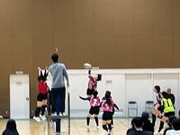 IMG_0203.jpeg