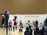 IMG_0221.jpeg
