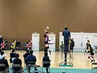 IMG_0225.jpeg