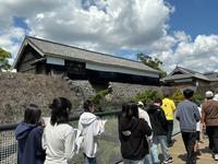 IMG_0302.jpeg