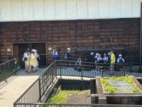 IMG_0306.jpeg