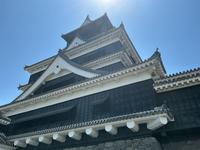 IMG_0309.jpeg