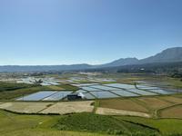 IMG_0358.jpeg
