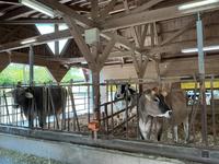 IMG_0411.jpeg