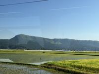 IMG_0466.jpeg