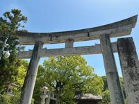 IMG_0475.jpeg