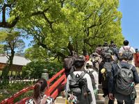 IMG_0478.jpeg