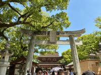 IMG_0479.jpeg