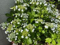IMG_0628.jpeg