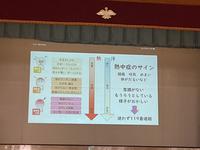 IMG_0749.jpeg