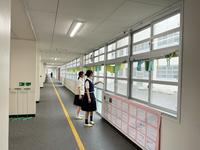 IMG_0866.jpeg