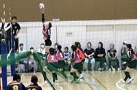IMG_0913.jpeg
