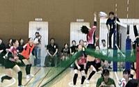 IMG_0918.jpeg