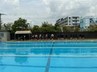 IMG_0937.jpeg