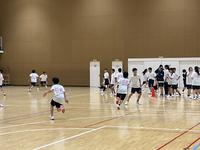 IMG_0953.jpeg