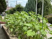 IMG_0972.jpeg